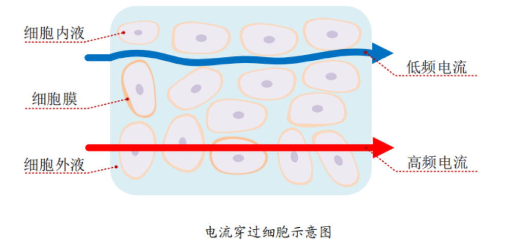 脂的？数据准确吗？一起来了解CQ9电子体
