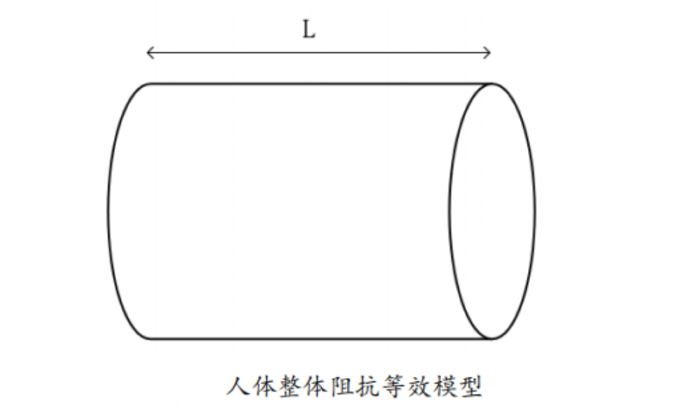 脂的？数据准确吗？一起来了解CQ9电子体脂秤是怎么测出体(图4)